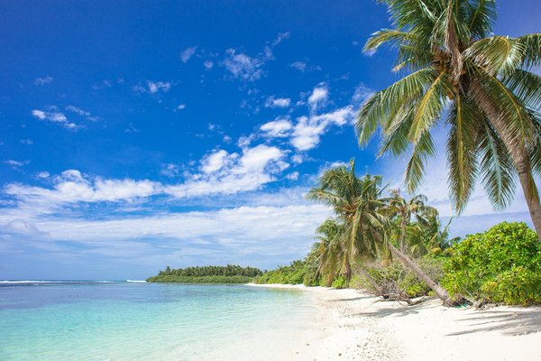 Quels sont les conseils pour un camping en région de haute montagne en automne?