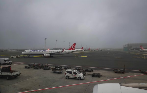 Quels sont les meilleurs conseils pour une plongée avec les requins-tigres aux Bahamas : équipements et périodes idéales ?